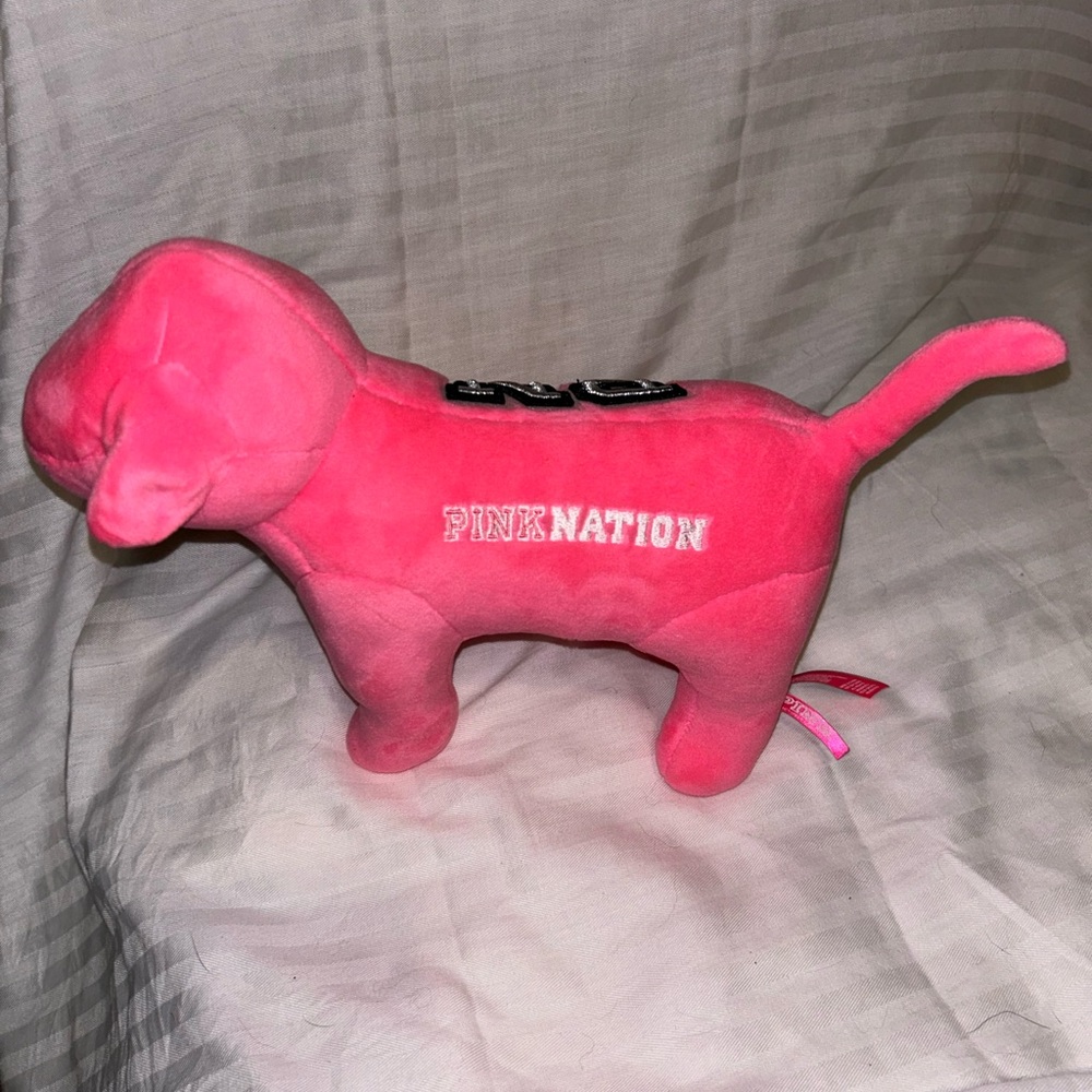 Pink brand small dog